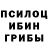 Галлюциногенные грибы прущие грибы Adam Vrio