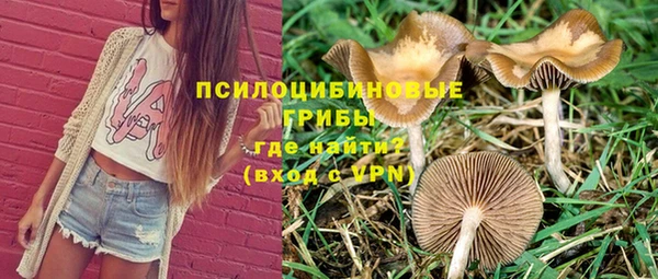 сатива Алексин