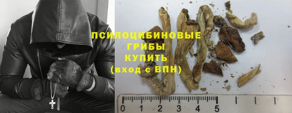 a pvp Алзамай