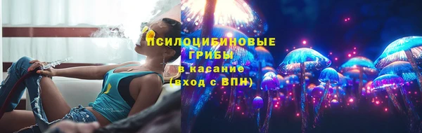 сатива Алексин