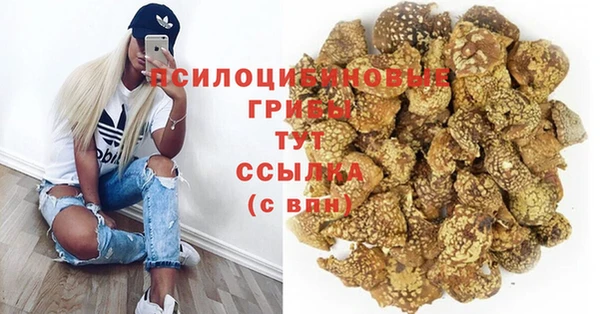 a pvp Алзамай