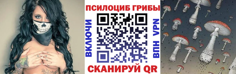 даркнет сайт  Краснознаменск  Псилоцибиновые грибы прущие грибы 